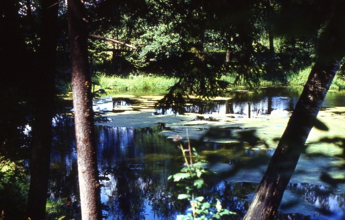 Нижний пруд в Абрамцево.