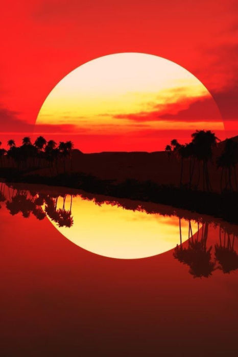 Красное солнце идеальной формы оповещает о закате дня в саванне.