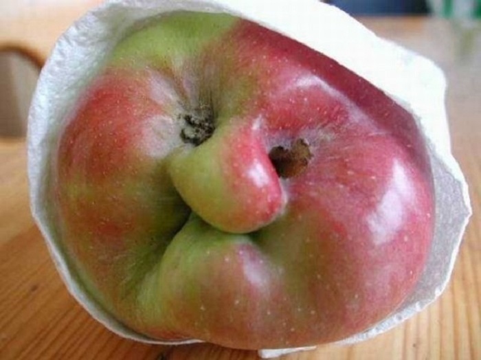 Яблоко корчащее рожицу.