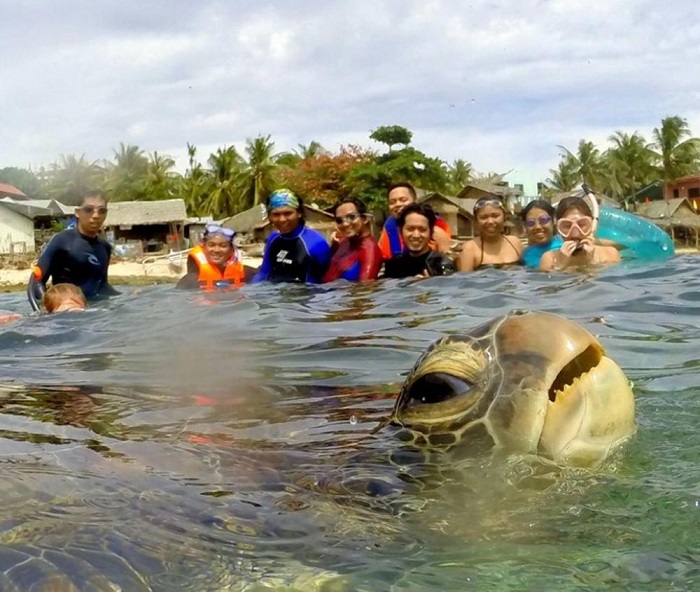Черепаха позирующая многим туристам.