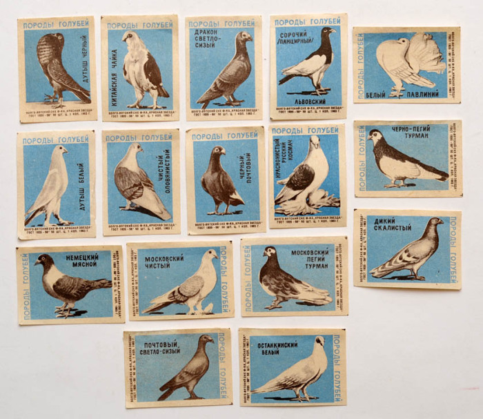 Коллекционное издание спичечных коробочек с изображением породы птиц.