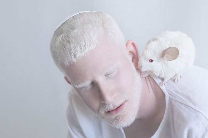 Мужчина-альбинос с белой шиншиллой на плече.