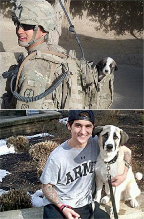 Солдат спас щенка и они вместе уже 5 месяцев.