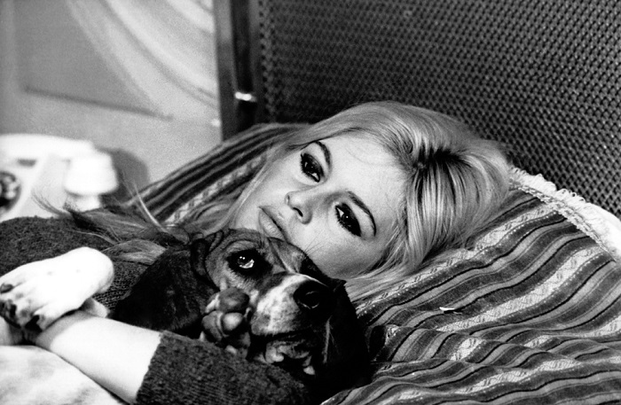 Брижит Бардо со своей собакой по кличке Свекла на съемках фильма «Знаменательный день» в октябре 1966 года.
