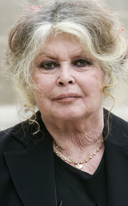 Бывшая актриса прибыла на встречу с президентом Франции в Елисейский дворец по вопросам окружающей среды в сентябре 2007 года.