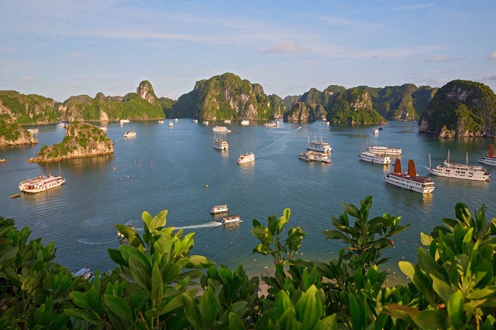 В Бухте, которая находится в Тонкинском заливе Южно-китайского моря на севере Вьетнама находится более 3000 островов, скал, утёсов и пещер.