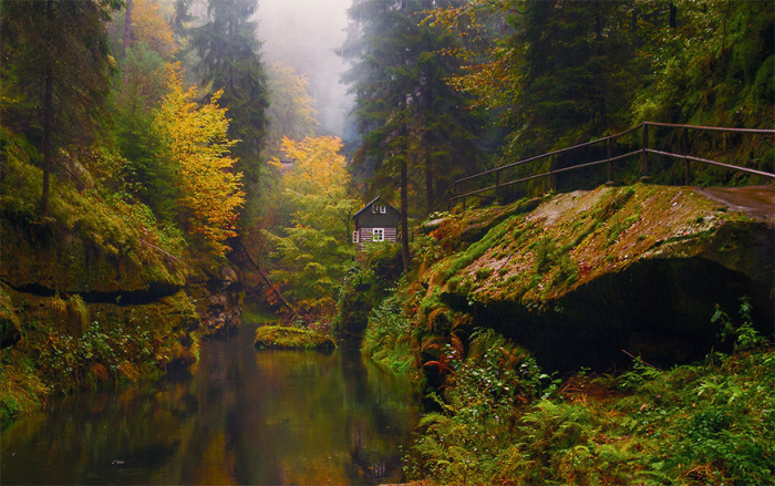Маленький уютный домик спрятанный далеко в лесу.