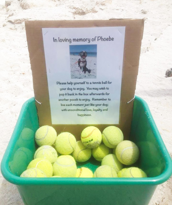 Хозяин собаки по кличке Фиби в память о ней, на пляже, выставил коробку с теннисными мячиками.