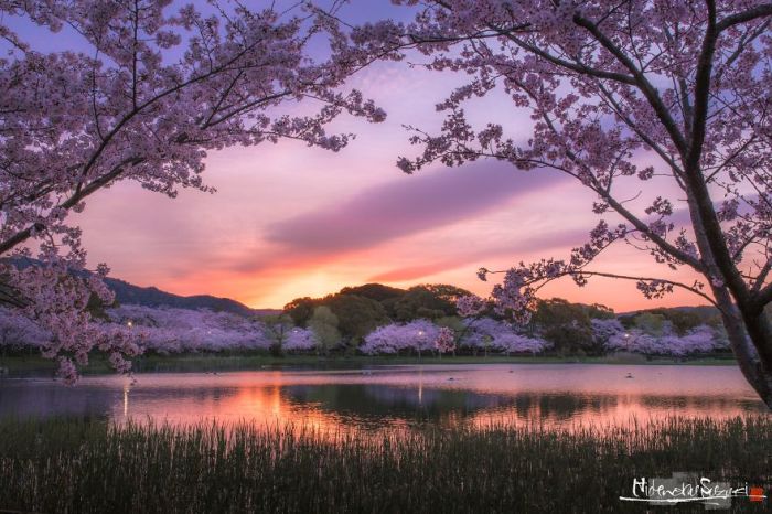 Изумительный восход солнца над озером в пригороде префектуры Аити.