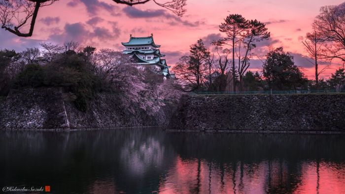 Великолепный замок на фоне восходящего солнца и цветущей сакуры.