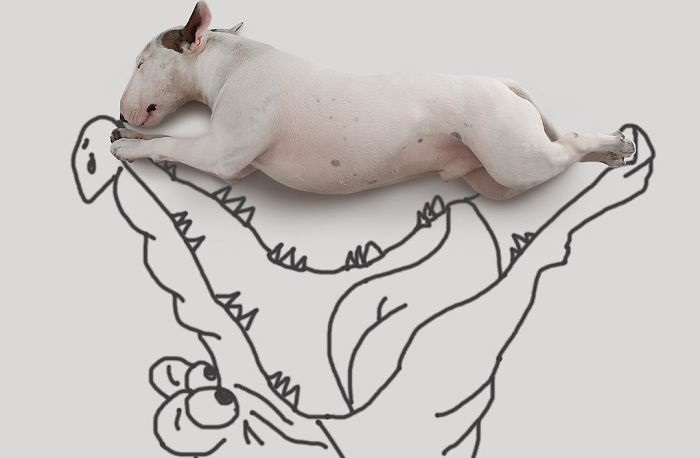  Бразильский иллюстратор Рафаэль Мантессо (Rafael Mantesso) представляет своего пса Джимми Чу в различных забавных ситуациях.