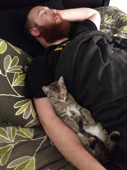 «Моя жена сделала эту фотографию, когда я спал с нашим котейкой».