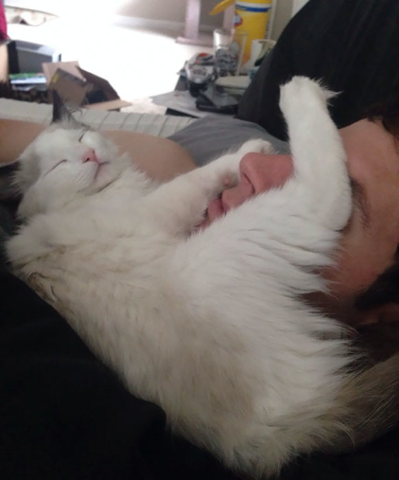 «У нашего кота есть странная привычка – устраиваться спать на лице моего парня».
