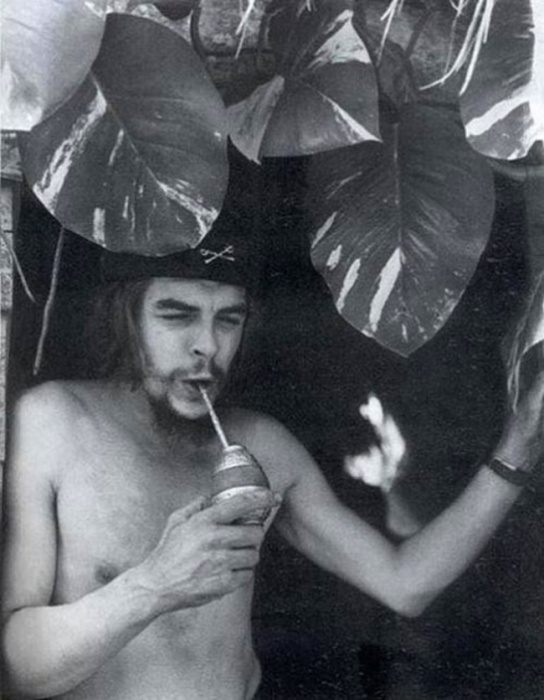 Эрнесто Че Гевара пьет напиток мате через трубочку-бомбилью.