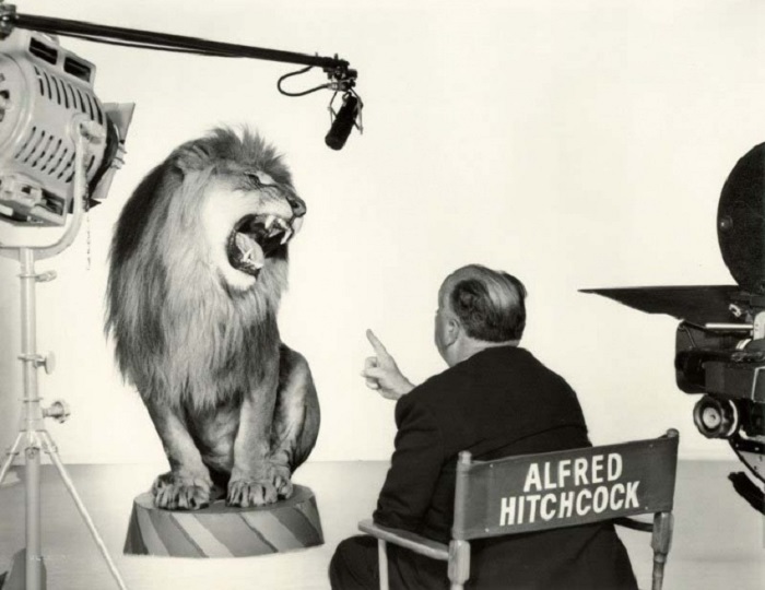 Альфред Хичкок, руководящий львом во время съемки легендарной заставки студии Metro-Goldwyn-Mayer, 1958 год.