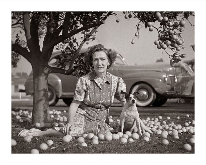 Женщина с собакой сидят на лужайке в яблоках...
