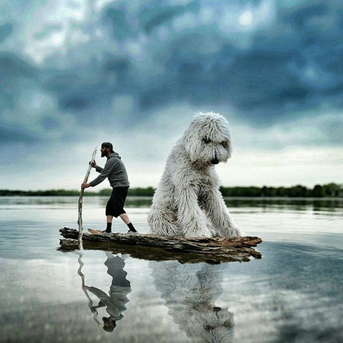 Американский фотограф Кристофер Клайн (Christopher Cline) создал необычную и забавную серию снимков со своим псом.
