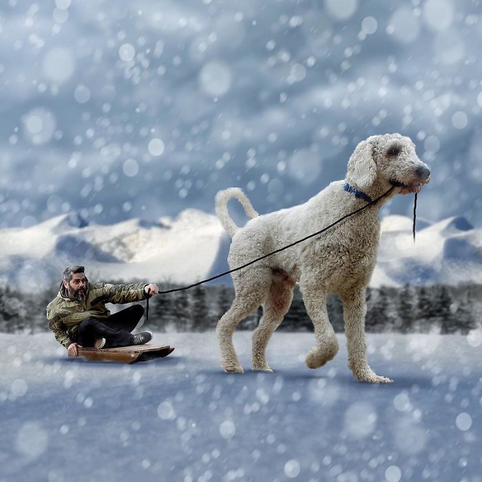 Гигантский пес вместе со своим хозяином отправляется на поиски новых снежных приключений!