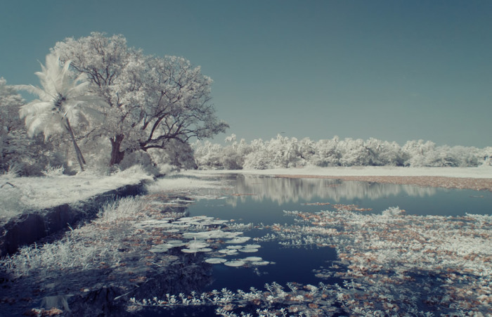 С инфракрасным фильтром пейзажи Гоа похожи на владения Снежной королевы.