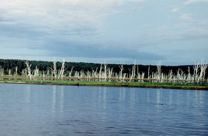 Самый крупный правый приток Енисея, единственная река, вытекающая из озера Байкал.