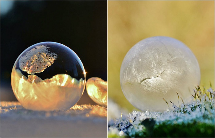 Магический ледяной шар для предсказаний даст ответ на любой ваш вопрос. Автор фотографии: Angela Kelly.