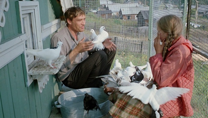 Василий очень любил своих птиц и относился к ним как к детям. /Фото:on-dekstop.com