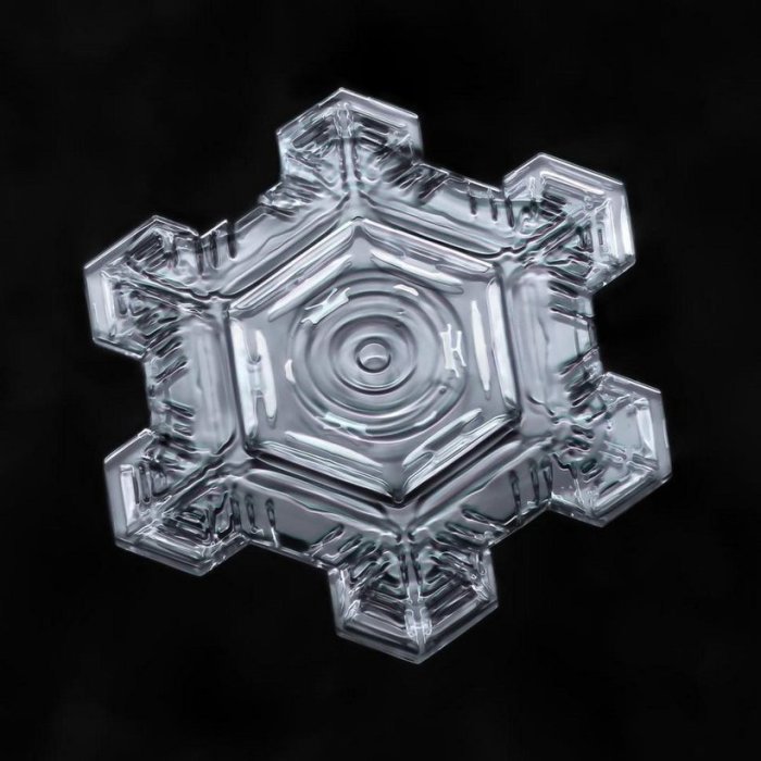  Вся эта уникальная работа вошла в  книгу «Небесные кристаллы: Раскрытие загадок снежинок» (Sky Crystals: Unraveling the Mysteries of Snowflakes).