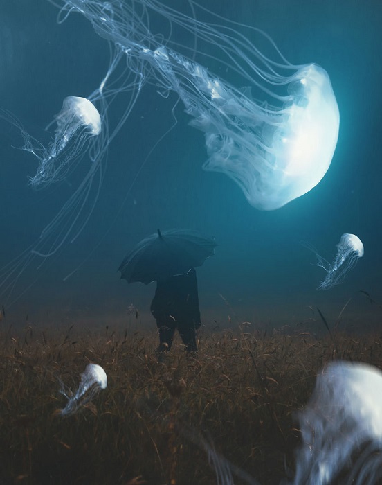 Осенний туманный день – самое лучшее время для грациозных танцев удивительных медуз над дикими травами.