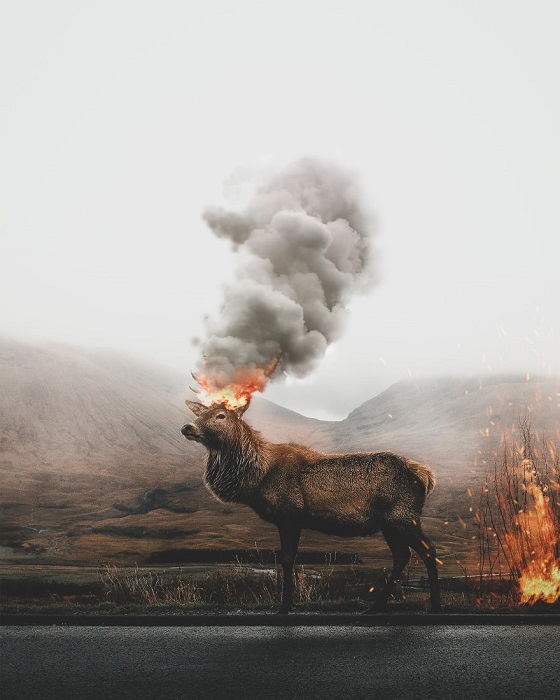 Грозный и беспощадный Красный олень, который уничтожает все вокруг, символизирует масштабные и опустошающие стихийные пожары.