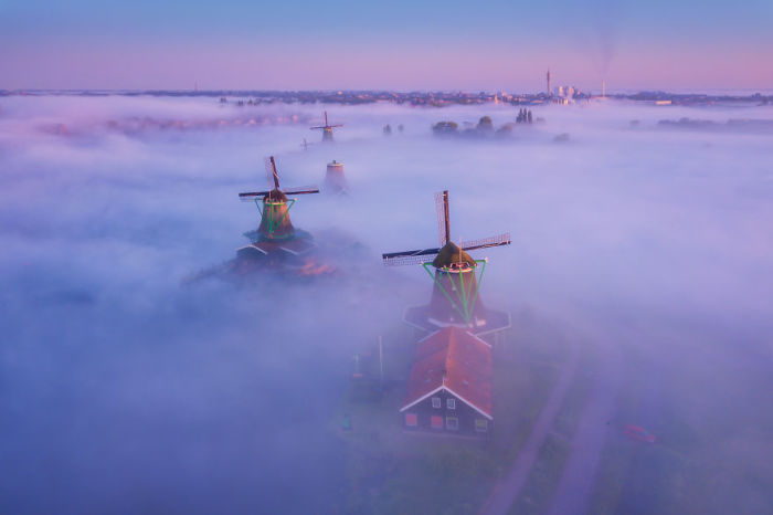 Ветряные мельницы в тумане.