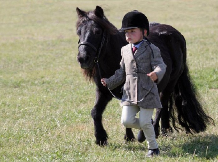 При помощи мини-лошадок лечат детей с ДЦП, аутизмом и неврозами.