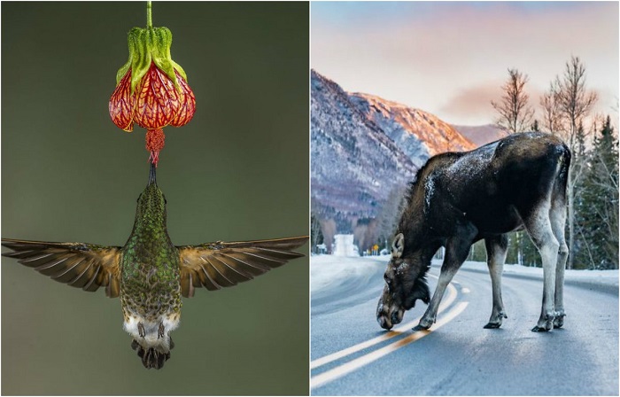 Вдохновляющие снимки природы, созданные участниками фотоконкурса.