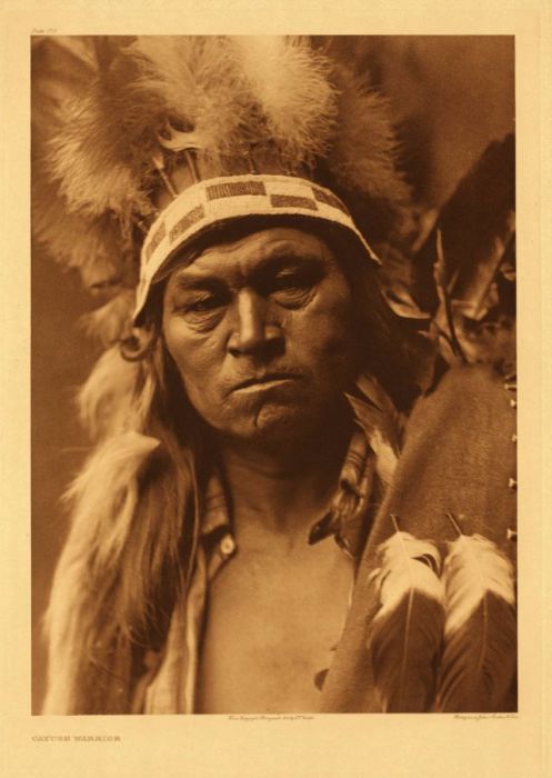 Мужественный образ индейца с пушистым головным убором.