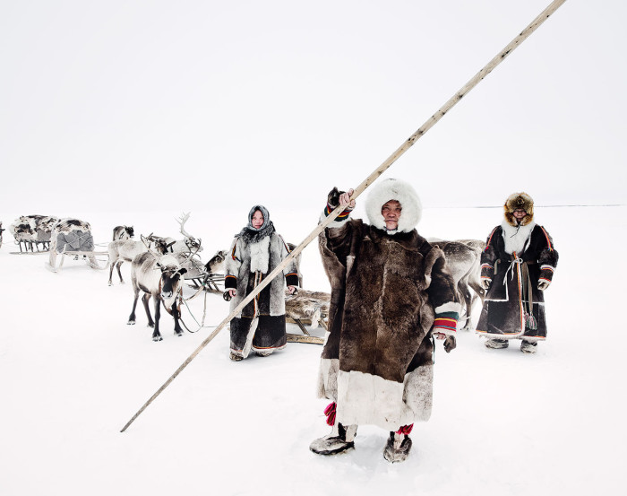 Из коренных малочисленных народов российского Севера ненцы являются самым многочисленным.