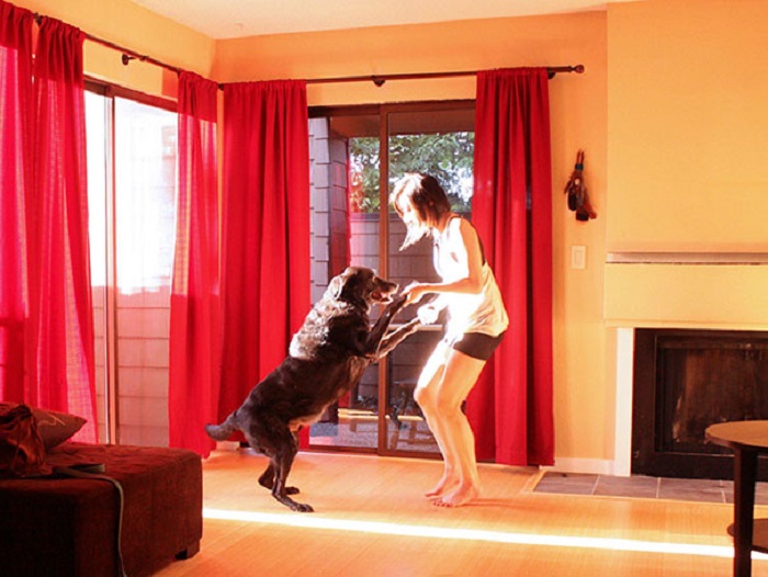 Девушка забрала к себе домой 11-летнего пса и обнаружила, что он замечательно умеет танцевать.