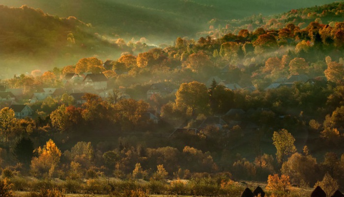 Единственное место - это Карпатские горы, где леса растут уже много веков.