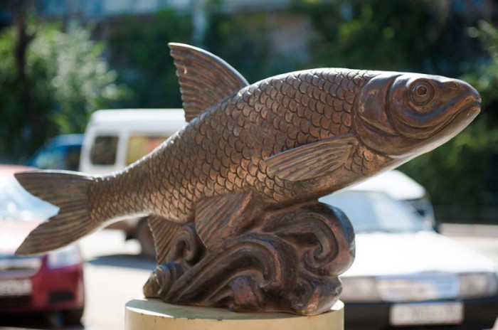 Длина бронзовой рыбины в Астрахани составляет 1 метр.