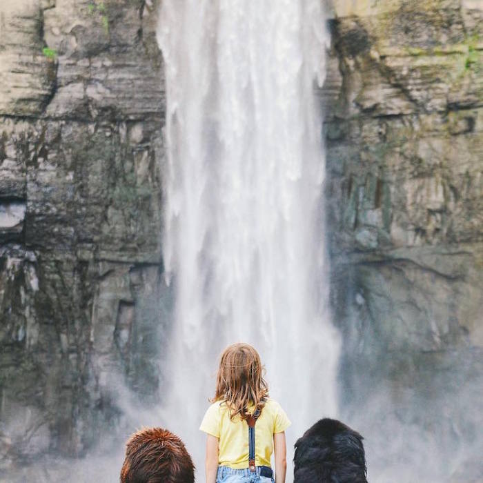 Джулиан с двумя домашними ньюфаундлендами у водопада.