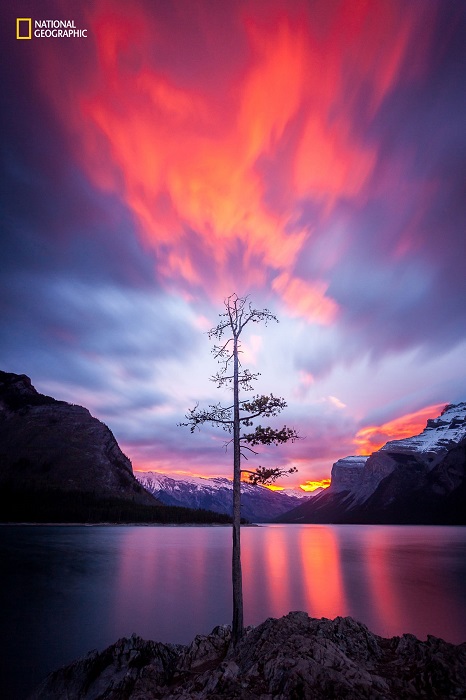 Неожиданный взрыв света над  хребтами скалистых гор превращают дерево у озеро в горящую свечку. Автор фотографии: Каллум Снейп (Callum Snape).
