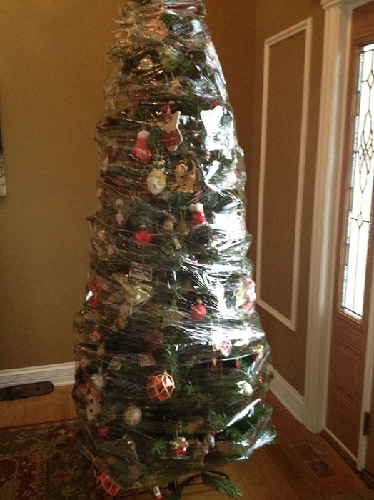 Рождественская елка, которую обмотали пищевой пленкой для защиты от кошек.