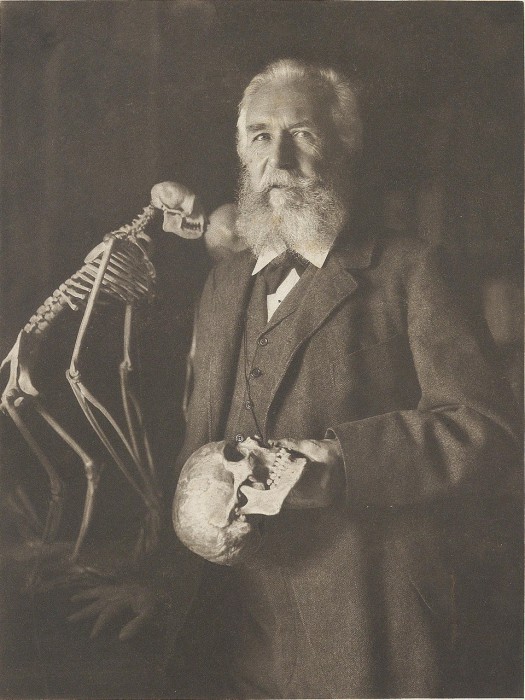 Немецкий естествоиспытатель и философ, автор терминов питекантроп и экология, 1904 год.