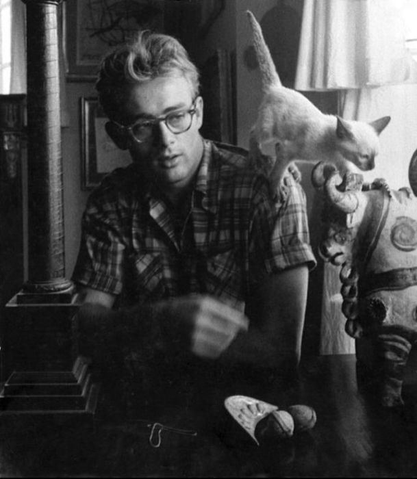 Восходящая звезда кинематографа со своим котом Маркусом в Нью-Йорке в 1954 году.