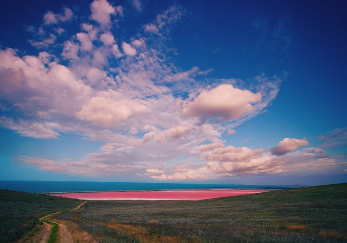 Озеро в Австралии приобретает розовый цвет от химического вещества, которое производится водорослями.