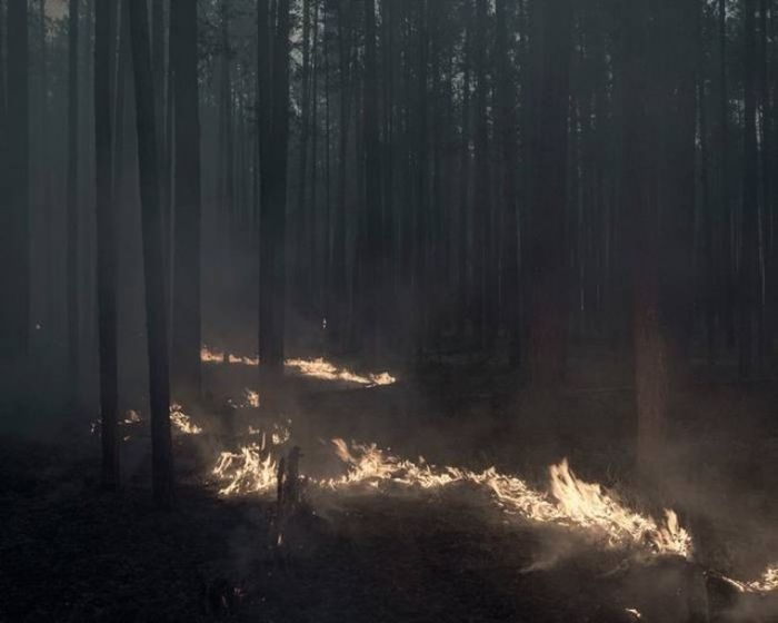 В июле 2016 года жителям деревни пришлось бороться с сильным лесным пожаром.