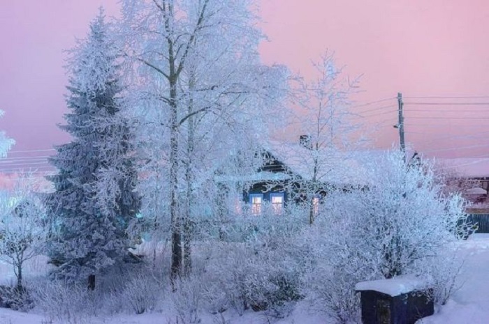 Художница-зима украсила окружающие деревья сверкающим и блестящим инеем.