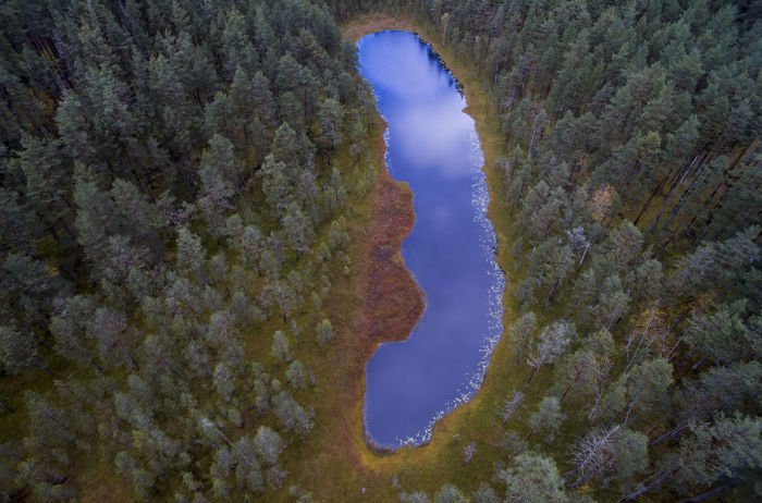Озеро на севере Ленинградской области. © Павел Богачев