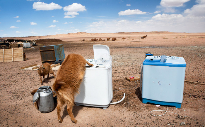 Стиральные машины и козы посреди пустыни Гоби, что в переводе с монгольского означает «безводное место».