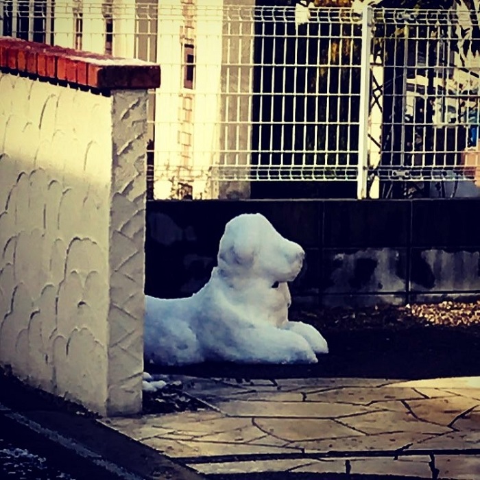 Скульптуру из снега специально создали возле стены, чтобы защитить от солнечных лучей.