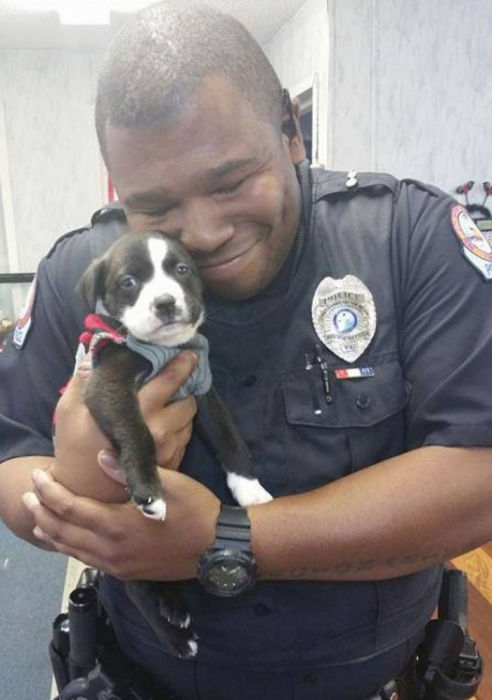 Офицер забрал домой спасенного щенка.