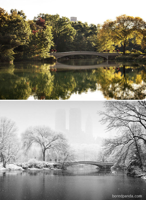Центральный парк Нью-Йорка, является самым посещаемым парком в Соединенных Штатах и великолепным архитектурным строением, хотя построек там нет.
